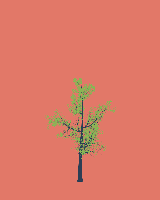 greenshift tree