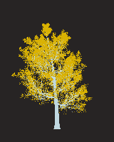 greenshift tree