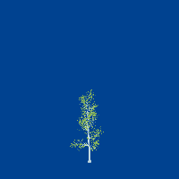 greenshift tree