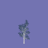 greenshift tree