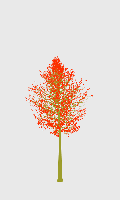 greenshift tree