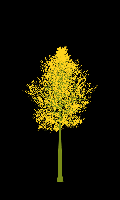 greenshift tree