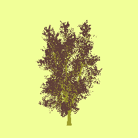 greenshift tree