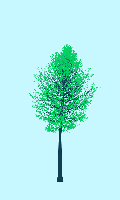 greenshift tree