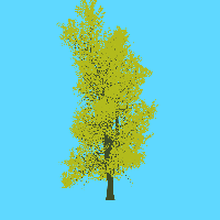 greenshift tree