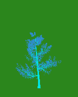 greenshift tree