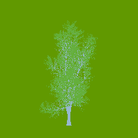 greenshift tree