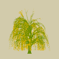 greenshift tree