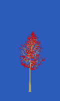 greenshift tree