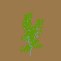 greenshift tree