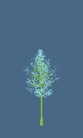 greenshift tree