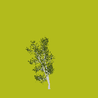 greenshift tree