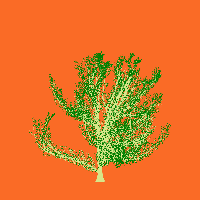 greenshift tree