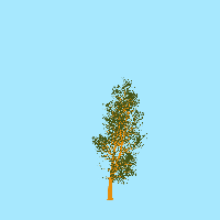 greenshift tree