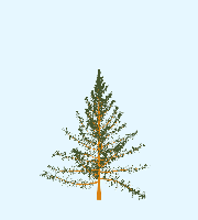 greenshift tree