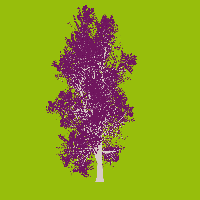 greenshift tree