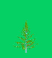 greenshift tree