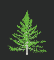 greenshift tree