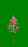 greenshift tree