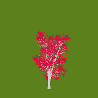 greenshift tree