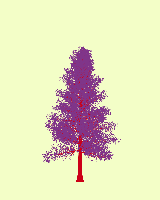 greenshift tree
