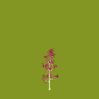 greenshift tree