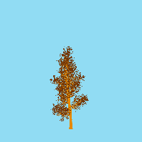 greenshift tree
