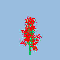 greenshift tree