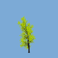 greenshift tree