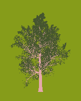 greenshift tree