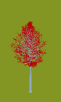 greenshift tree