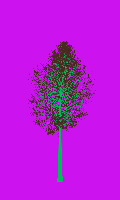 greenshift tree