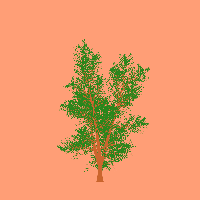 greenshift tree