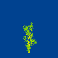 greenshift tree