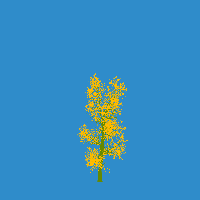 greenshift tree