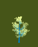 greenshift tree