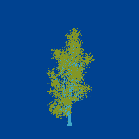 greenshift tree
