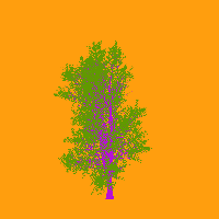 greenshift tree