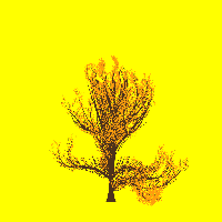 greenshift tree