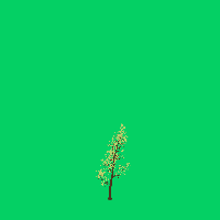greenshift tree