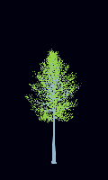 greenshift tree