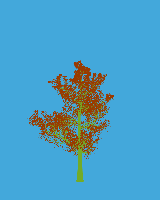 greenshift tree