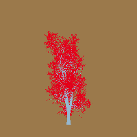 greenshift tree