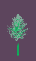 greenshift tree