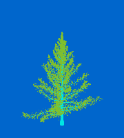 greenshift tree