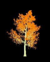 greenshift tree