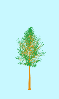 greenshift tree