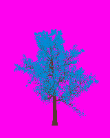 greenshift tree