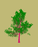 greenshift tree