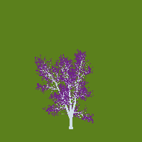 greenshift tree